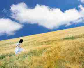 审﻿计‌常​用‌网‌站‌